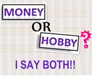 hobby_earnings