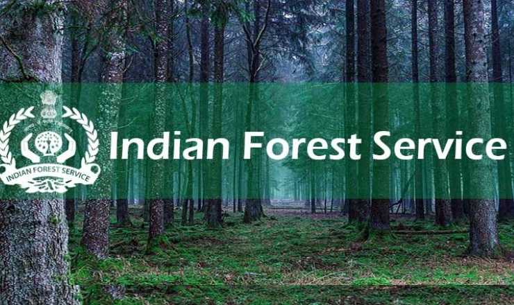 印第安森林服务局