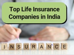 印度十大人寿保险公司
